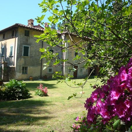 Bed & Breakfast Villa Masini-Luccetti Pietrasanta Luaran gambar