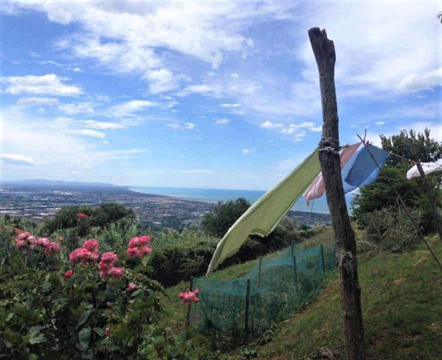Bed & Breakfast Villa Masini-Luccetti Pietrasanta Luaran gambar